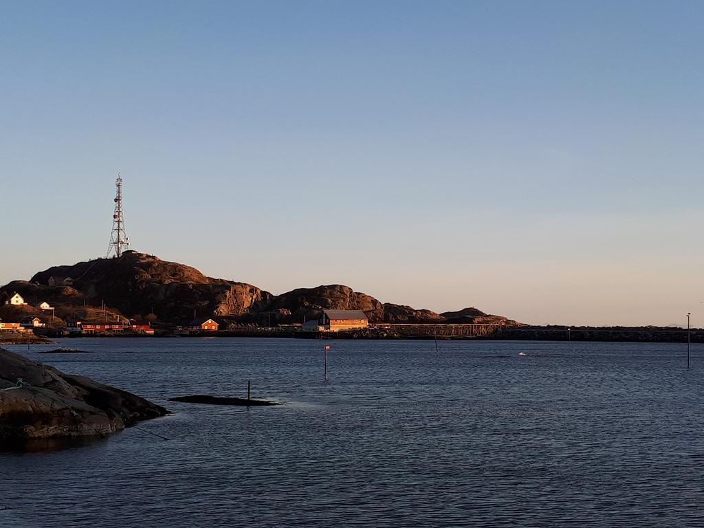 Sjohaug Rorbu Appartement Moskenes Buitenkant foto