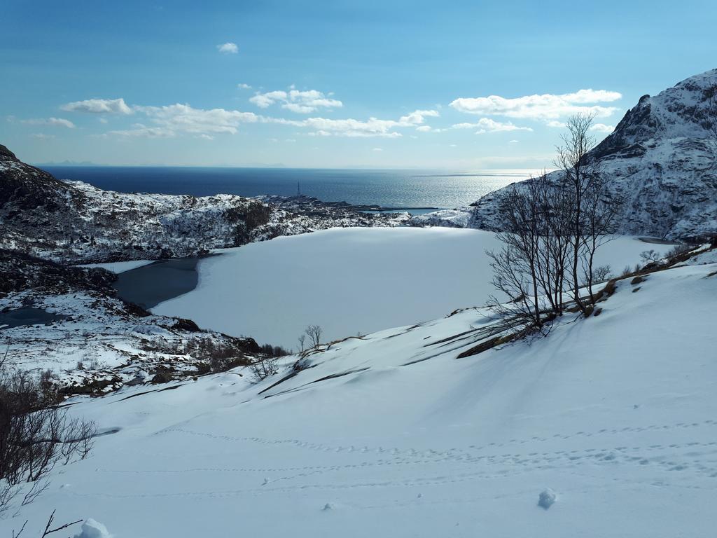 Sjohaug Rorbu Appartement Moskenes Buitenkant foto