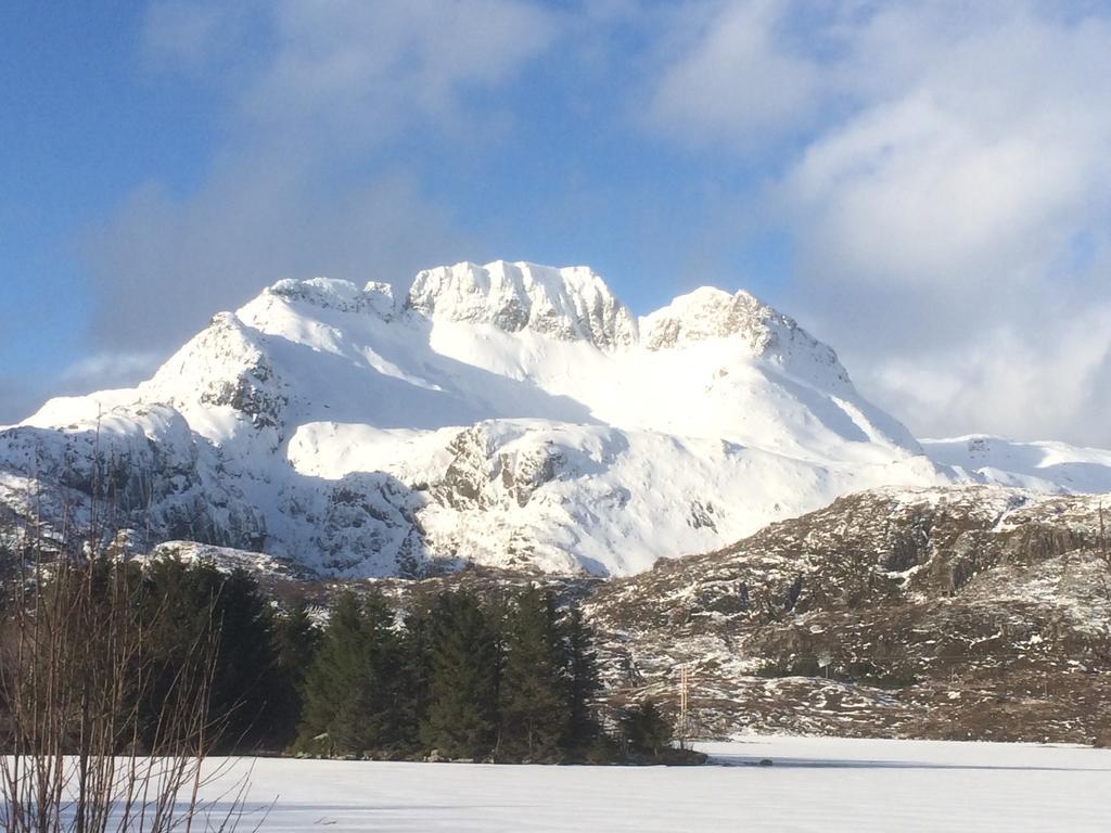Sjohaug Rorbu Appartement Moskenes Buitenkant foto